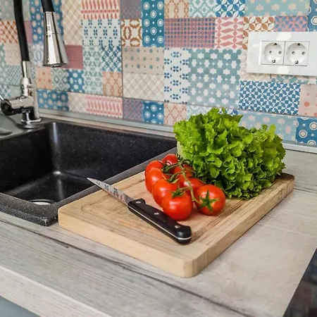 Apartament House Vertel *