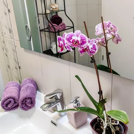 House Vertel Matulji