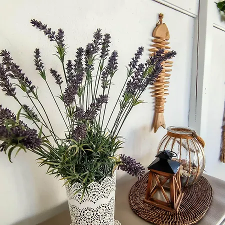 Apartmán House Vertel *